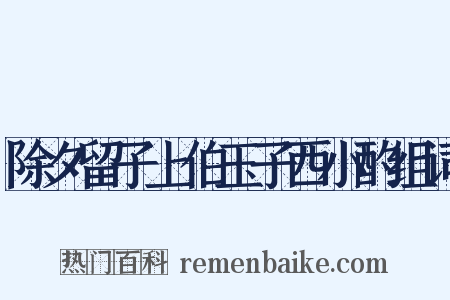 除夕留子上伯玉子西小酌组词是什么意思的图片